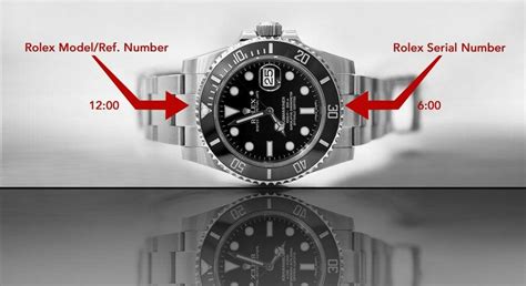 how to find the model number on my rolex|Rolex model number search up.